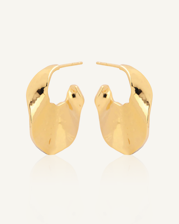 Arizona Gold Hoops