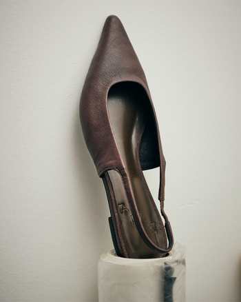 Pointed Toe Flats in Brown