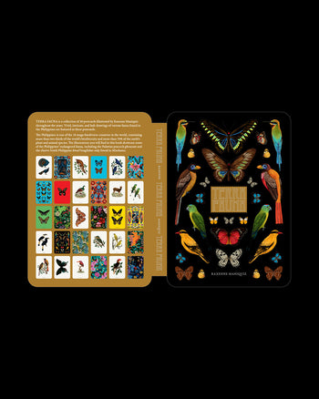 Terra Fauna