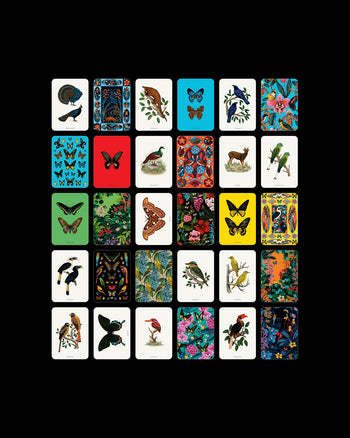 Terra Fauna
