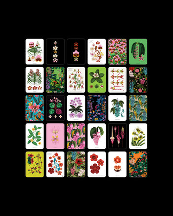 Terra Flora - Third Edition