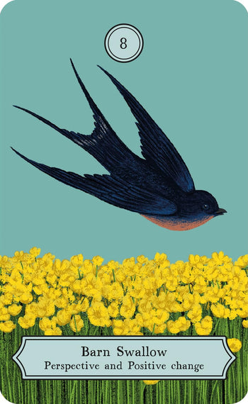 The Wisdom of Birds: Oracle Deck and Guidebook