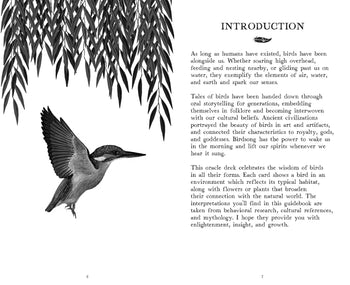 The Wisdom of Birds: Oracle Deck and Guidebook