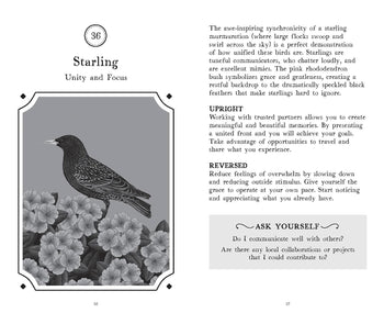 The Wisdom of Birds: Oracle Deck and Guidebook